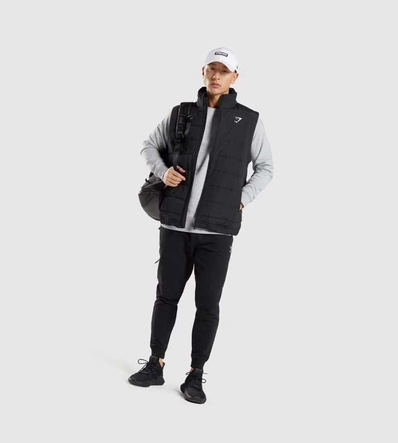 Gymshark Crest Puffer Vest Klær Herre Svarte | PLDZTB263