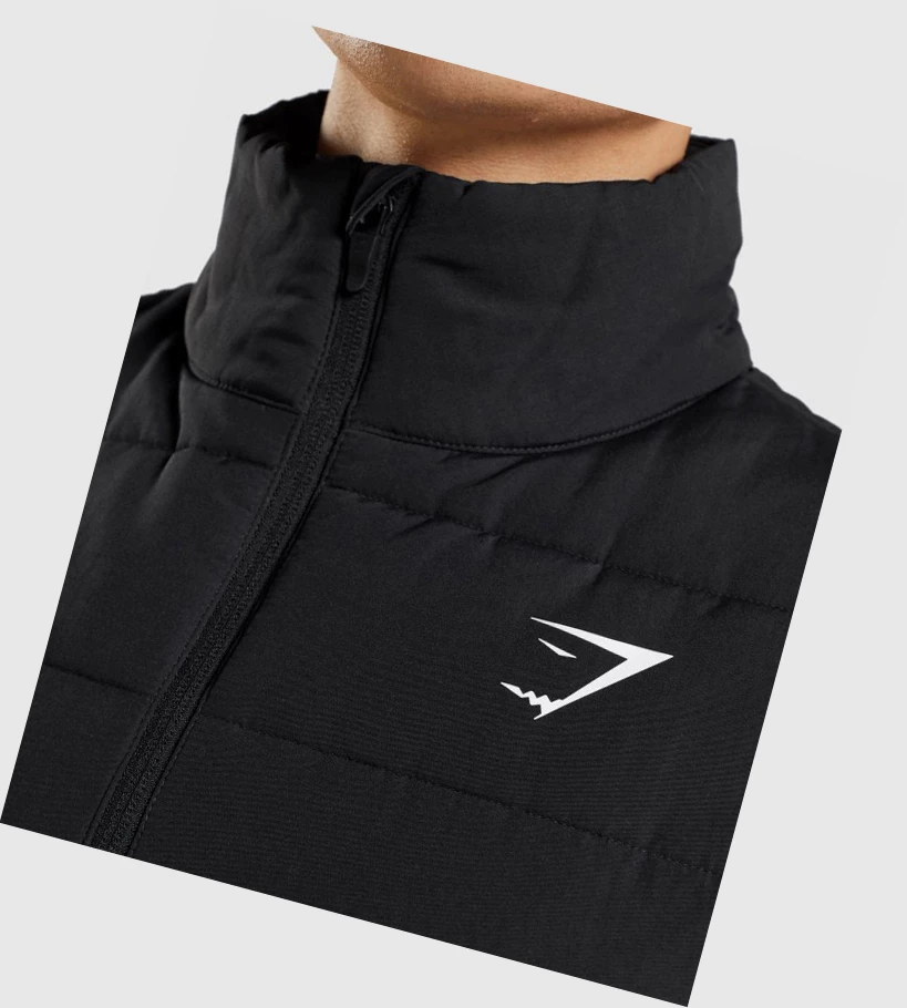 Gymshark Crest Puffer Vest Klær Herre Svarte | PLDZTB263