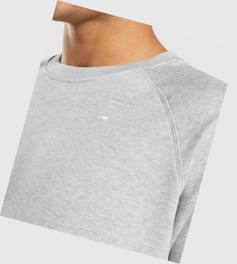 Gymshark Crest Sweatshirt Klær Herre Lyse Grå | FRXLOE206