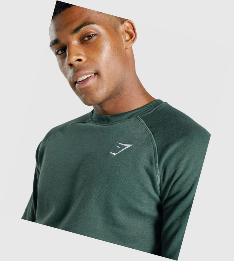 Gymshark Crest Sweatshirt Klær Herre Mørke Grønn | KIOUVB319