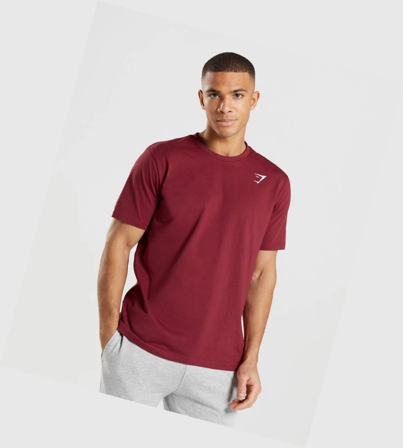 Gymshark Crest T-skjorte Herre Burgunder Rød | DTKLBU507