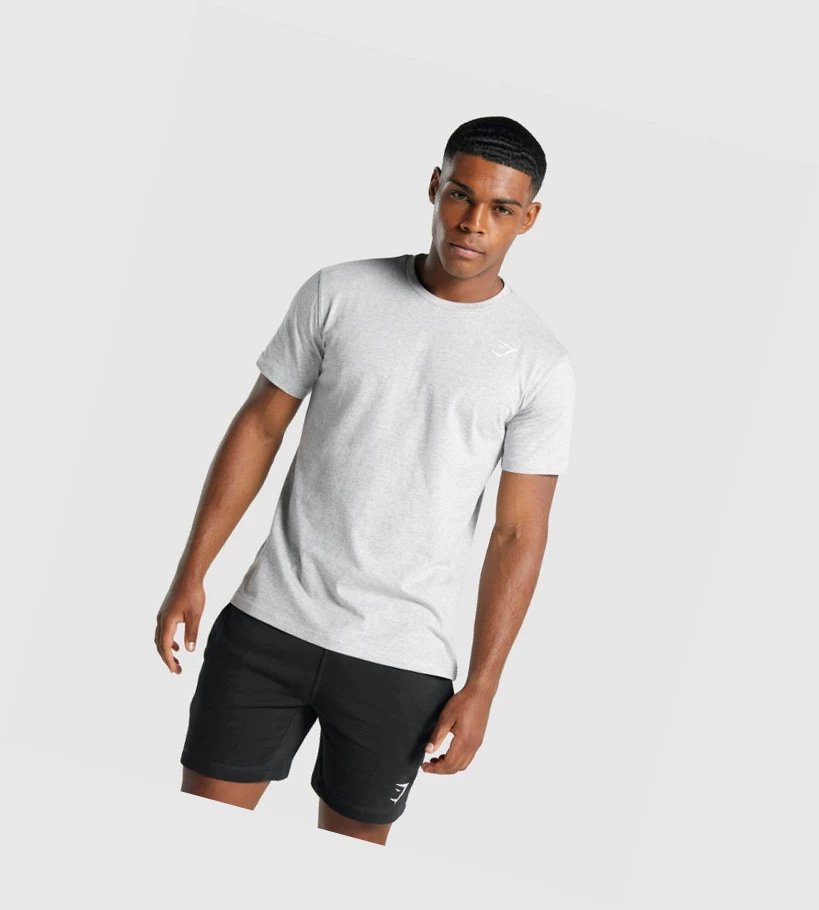 Gymshark Crest T-skjorte Herre Lyse Grå | EDTJVB842