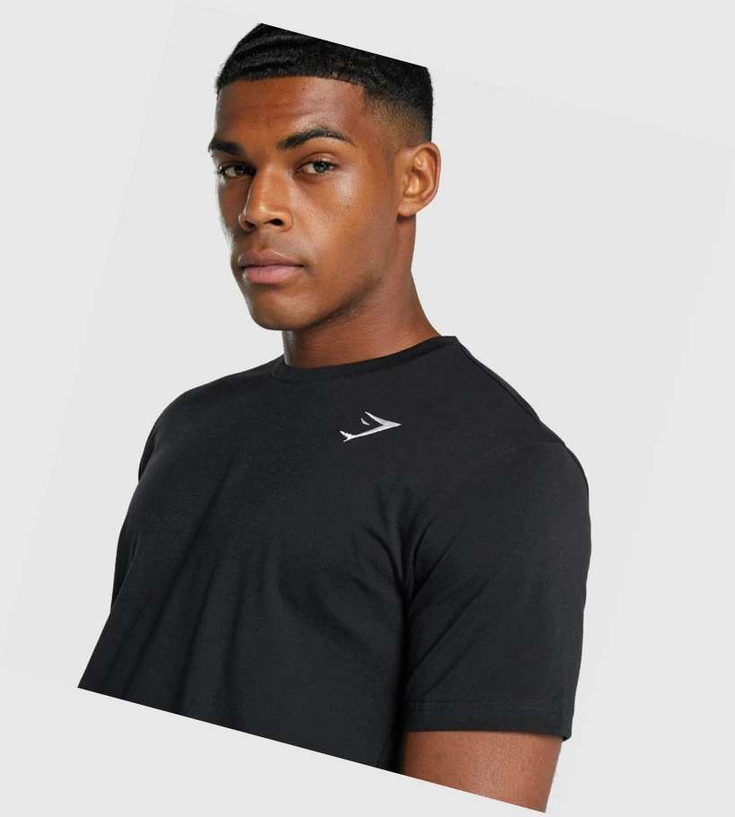 Gymshark Crest T-skjorte Herre Svarte | CGTDEZ791