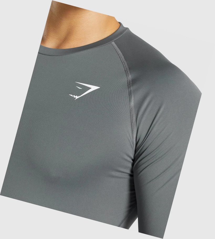 Gymshark Element Baselayer T-skjorte Herre Grå | QRESKU640