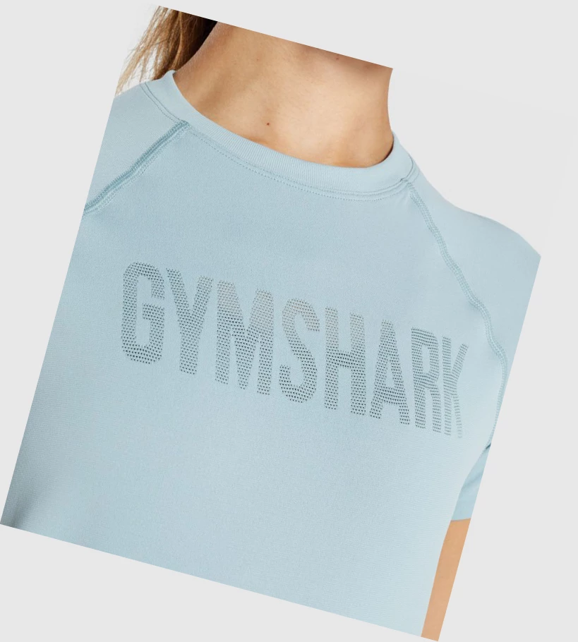 Gymshark Fit Seamless Loose T-skjorte Dame Blå | NUJRIE497