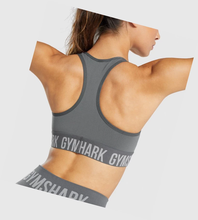 Gymshark Fit Seamless Sports Bh Dame Grå | BMVLGU652