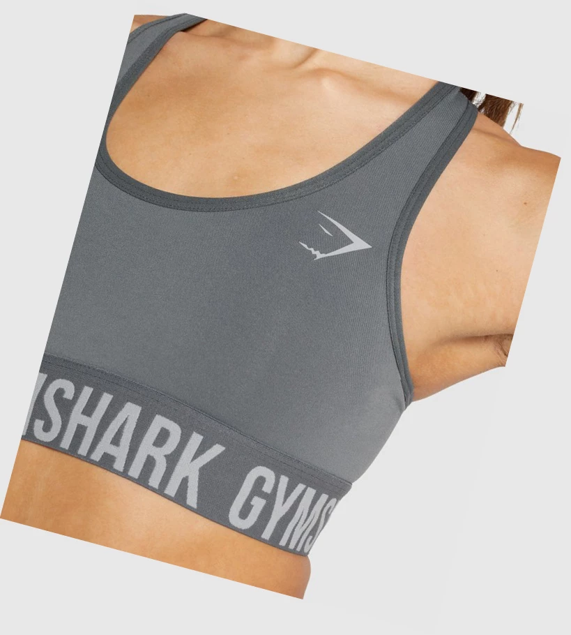 Gymshark Fit Seamless Sports Bh Dame Grå | BMVLGU652