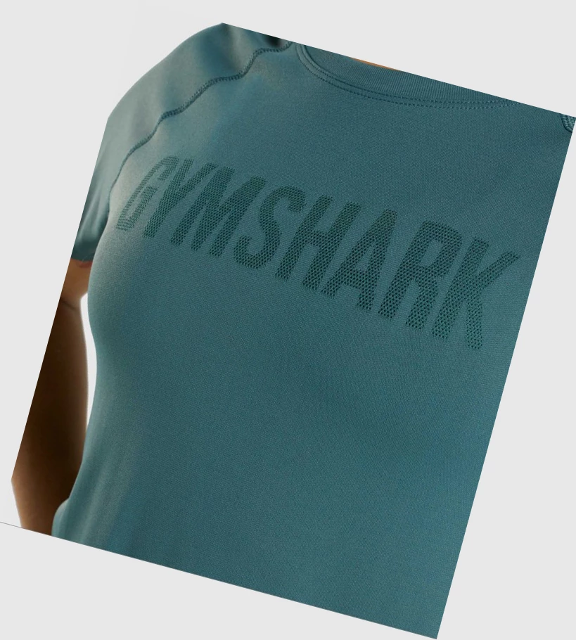 Gymshark Fit Seamless T-skjorte Dame Mørke Grønn | MKPNUW073