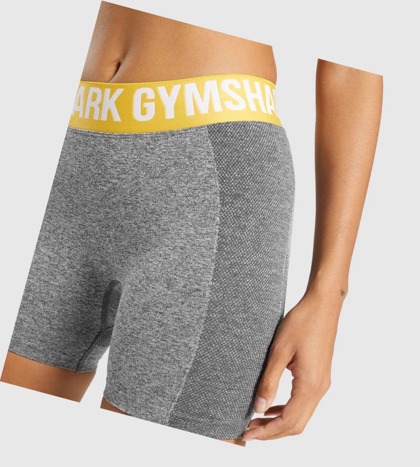 Gymshark Flex Shorts Dame Grå | USGTZO063