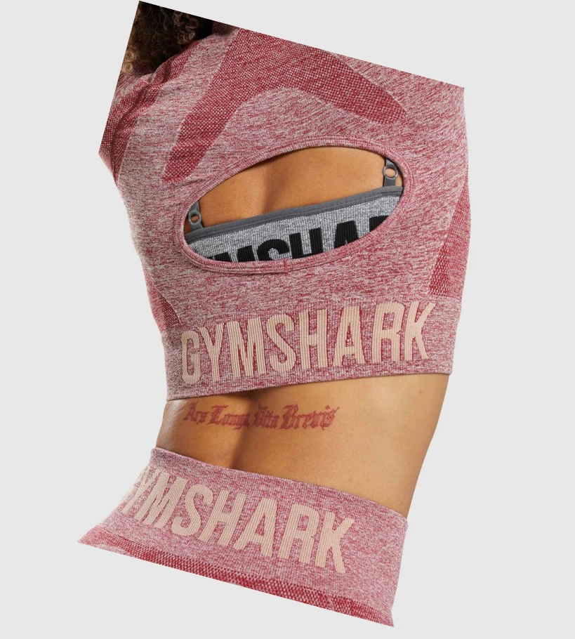 Gymshark Flex Sports Crop Top Gensere Dame Burgunder | YVTHNL750