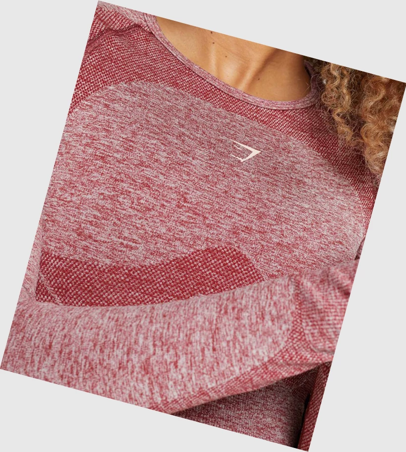 Gymshark Flex Sports Crop Top Gensere Dame Burgunder | YVTHNL750