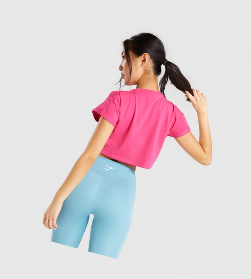 Gymshark Fraction Crop Top Gensere Dame Rosa | DSKNJU692