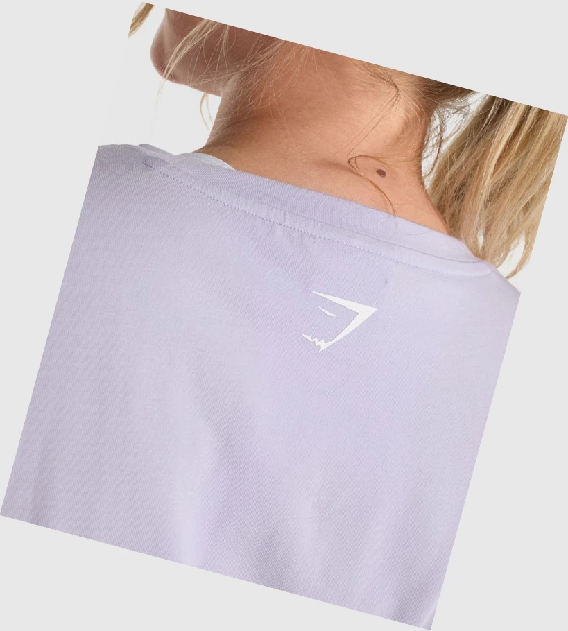 Gymshark Fraction Crop Top Gensere Dame Lyse Lilla | FUQJGB537