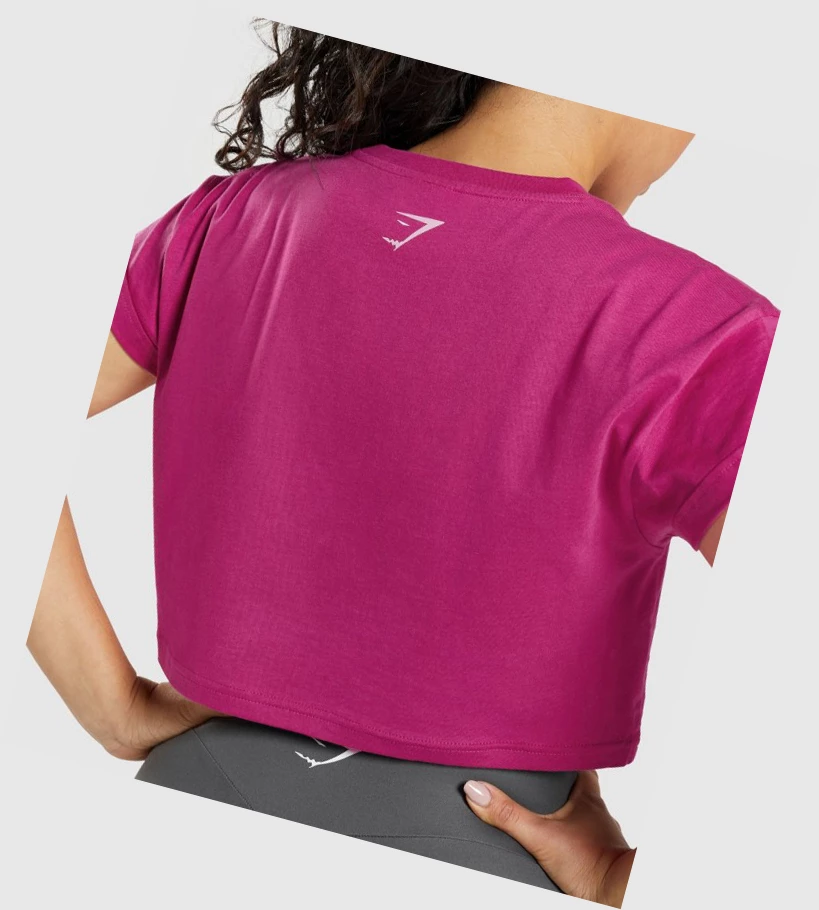 Gymshark Fraction Crop Top Gensere Dame Rosa | LMFSOH179