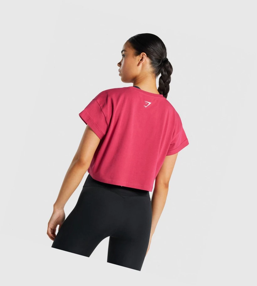 Gymshark Fraction Crop Top Gensere Dame Rosa | MXWAGE803