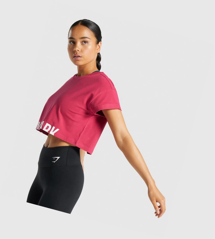 Gymshark Fraction Crop Top Gensere Dame Rosa | MXWAGE803