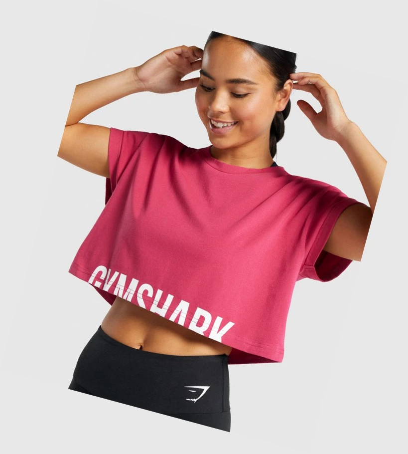 Gymshark Fraction Crop Top Gensere Dame Rosa | MXWAGE803