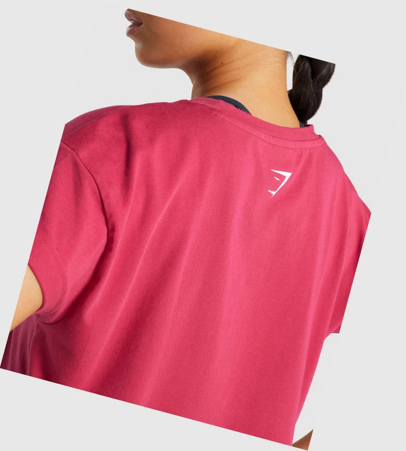 Gymshark Fraction Crop Top Gensere Dame Rosa | MXWAGE803