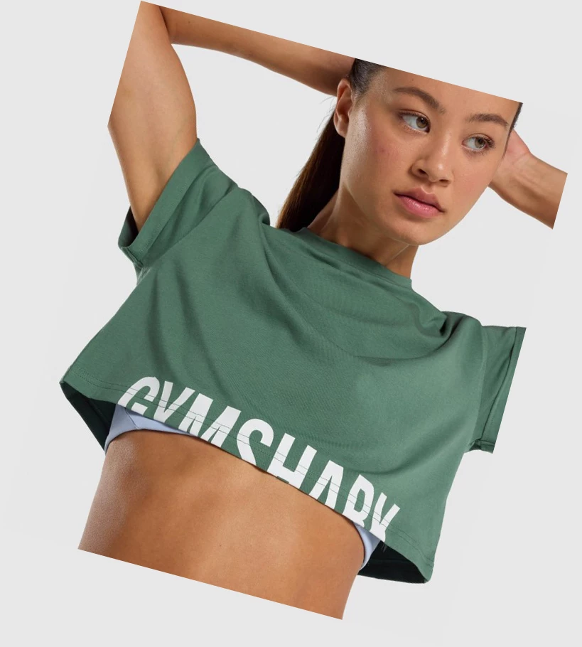 Gymshark Fraction Crop Top Gensere Dame Grønn | PNVOIS345