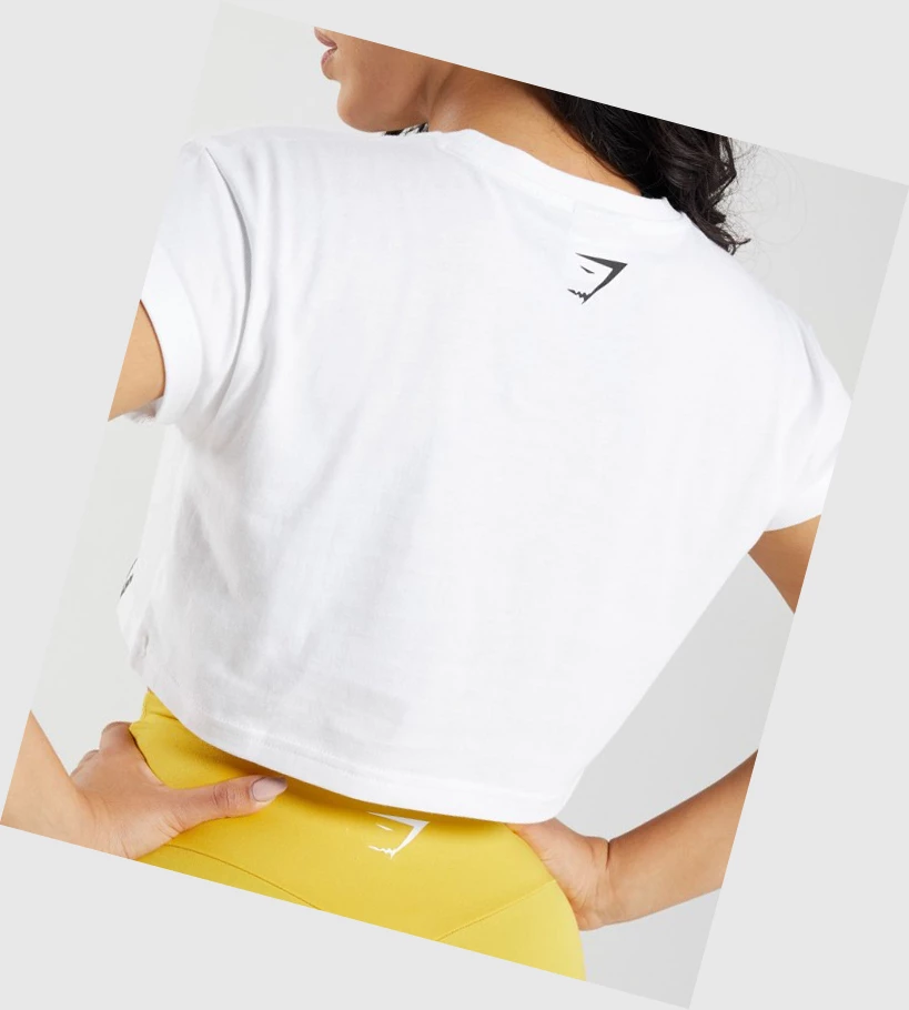 Gymshark Fraction Crop Top Gensere Dame Hvite | PWQACL927