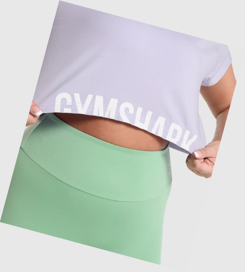 Gymshark Fraction Crop Top T-skjorte Dame Lyse Lilla | JWKOZY546