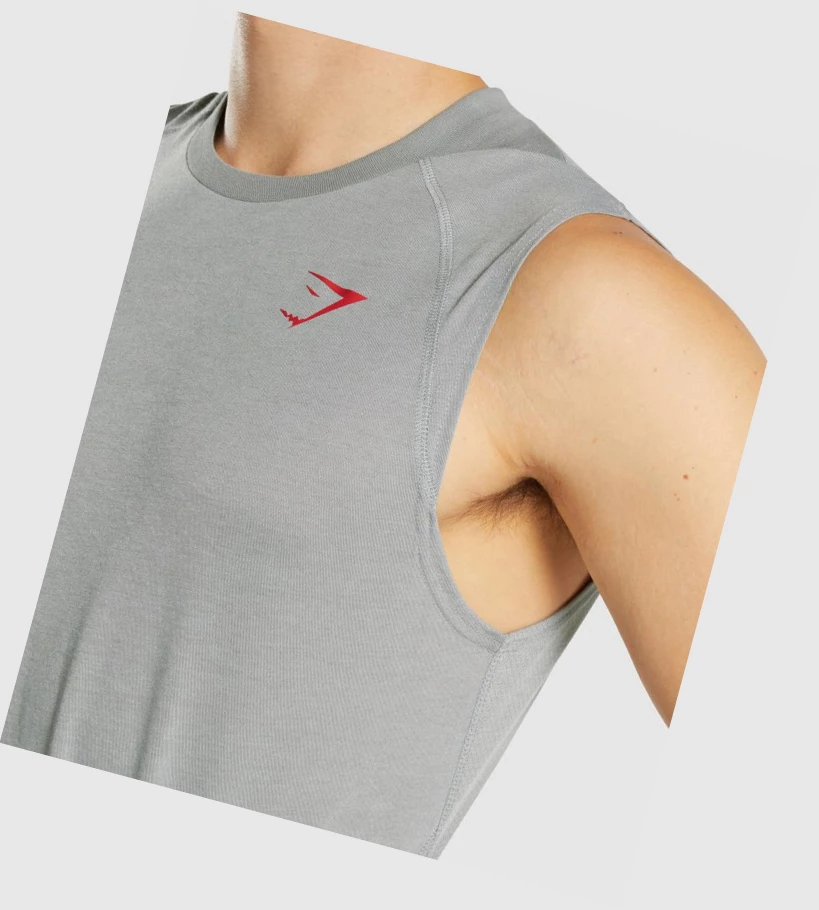 Gymshark Hyper Power Singlet Herre Grå | YCTLMS847