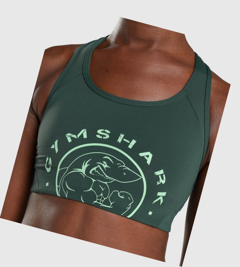 Gymshark Legacy Grafiske Sports Bh Dame Mørke Grønn | SHTUZL974