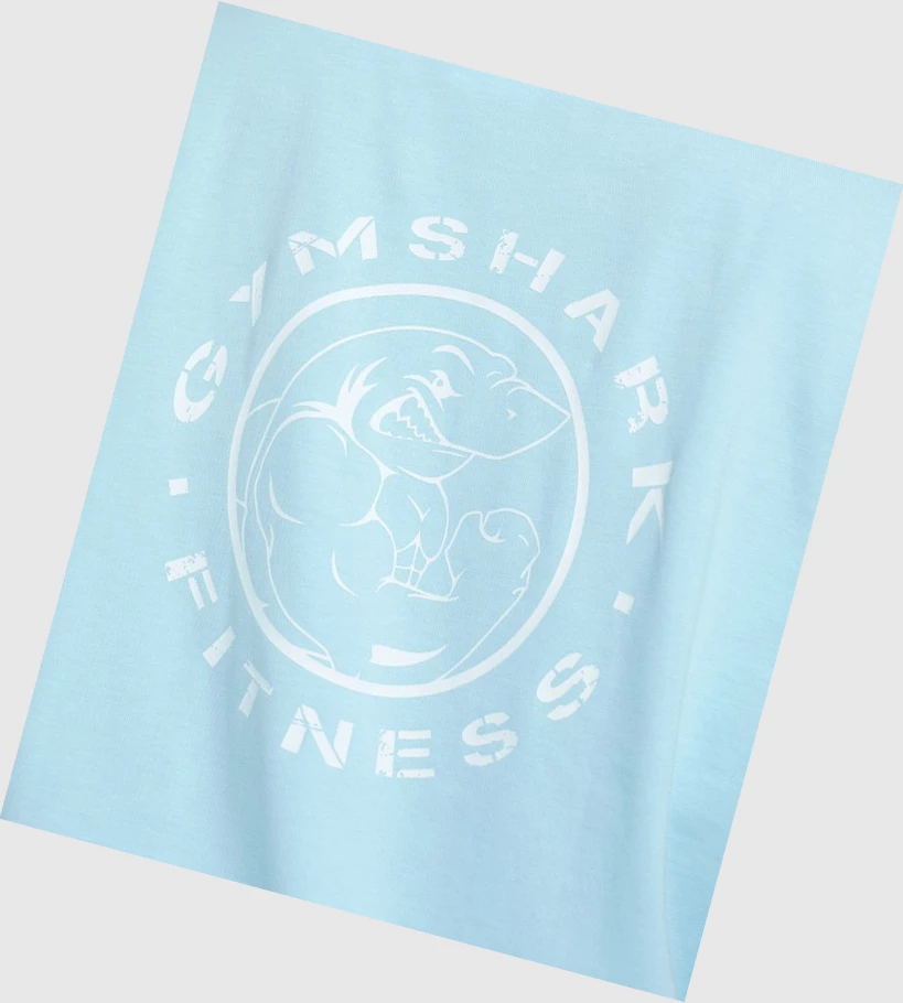 Gymshark Legacy Grafiske T-skjorte Dame Blå | FKHZEX370