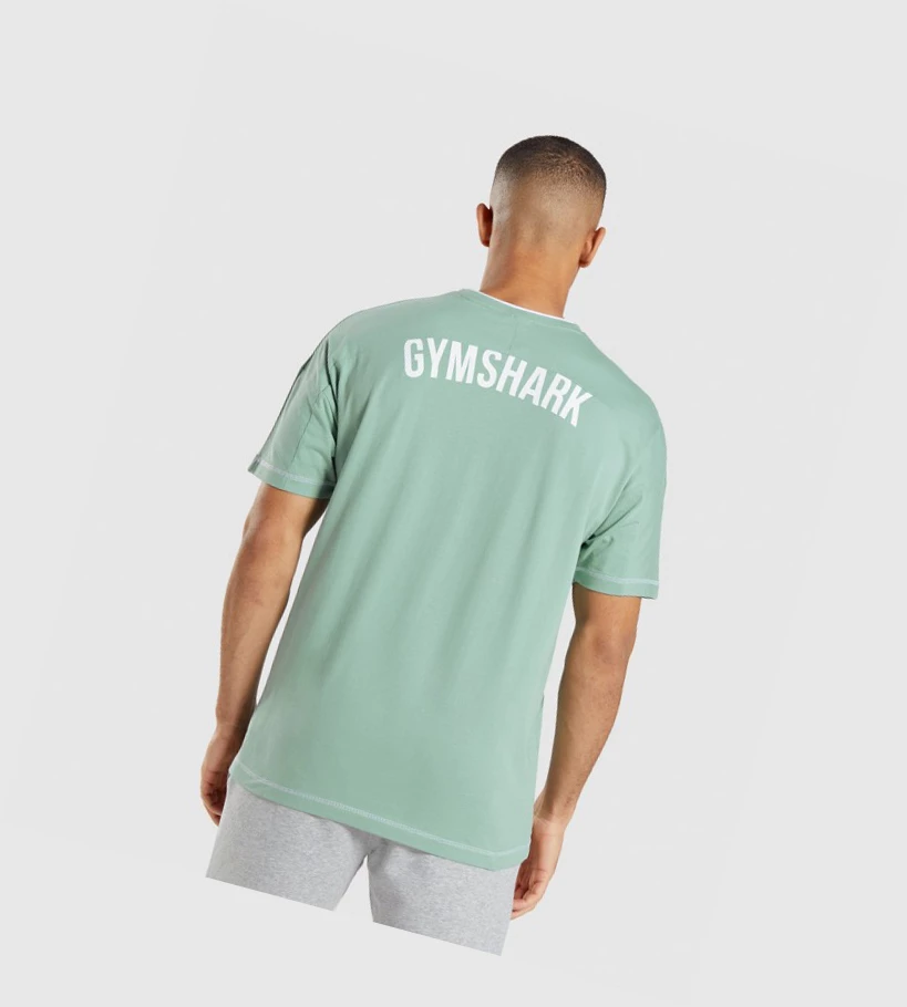 Gymshark Recess T-skjorte Herre Blå Hvite | VSBNYT670