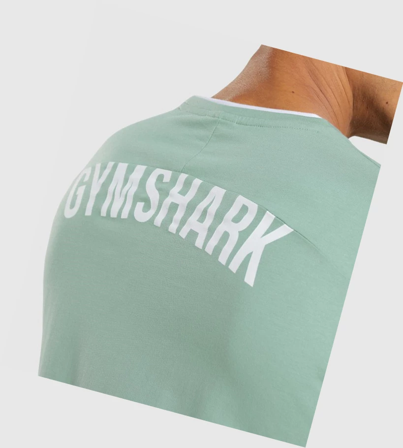 Gymshark Recess T-skjorte Herre Blå Hvite | VSBNYT670