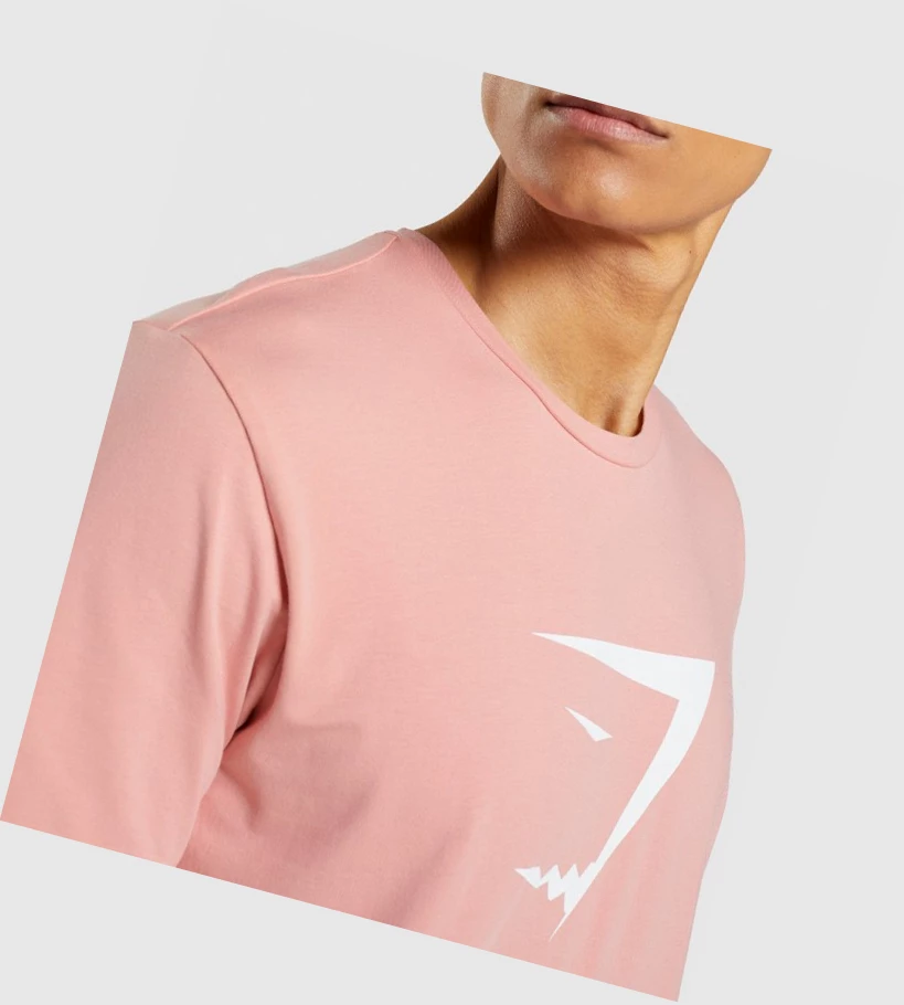 Gymshark Sharkhead Infill T-skjorte Herre Rosa | ASFRYP649