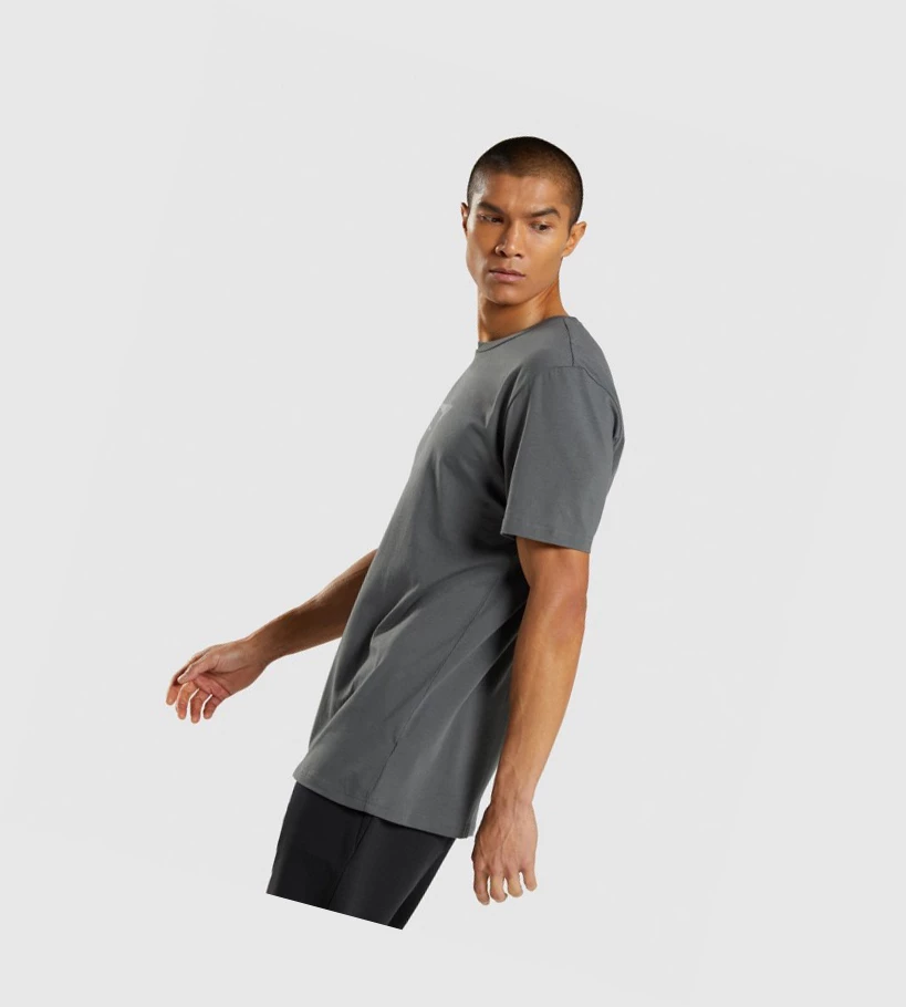 Gymshark Sharkhead Infill T-skjorte Herre Grå | PGQXUW473