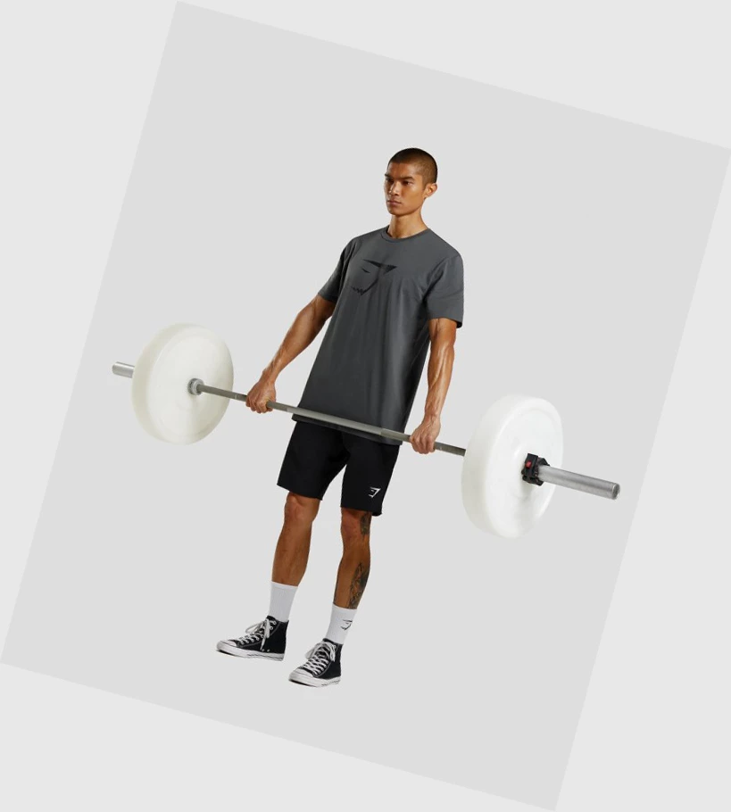 Gymshark Sharkhead Infill T-skjorte Herre Grå | PGQXUW473