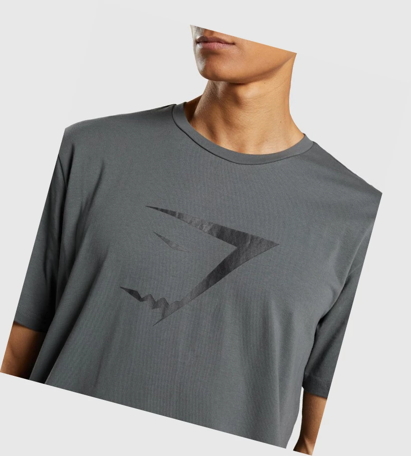 Gymshark Sharkhead Infill T-skjorte Herre Grå | PGQXUW473