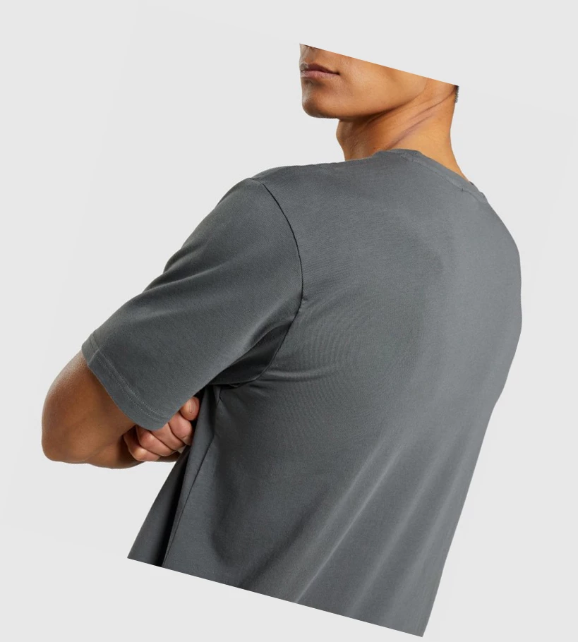 Gymshark Sharkhead Infill T-skjorte Herre Grå | PGQXUW473