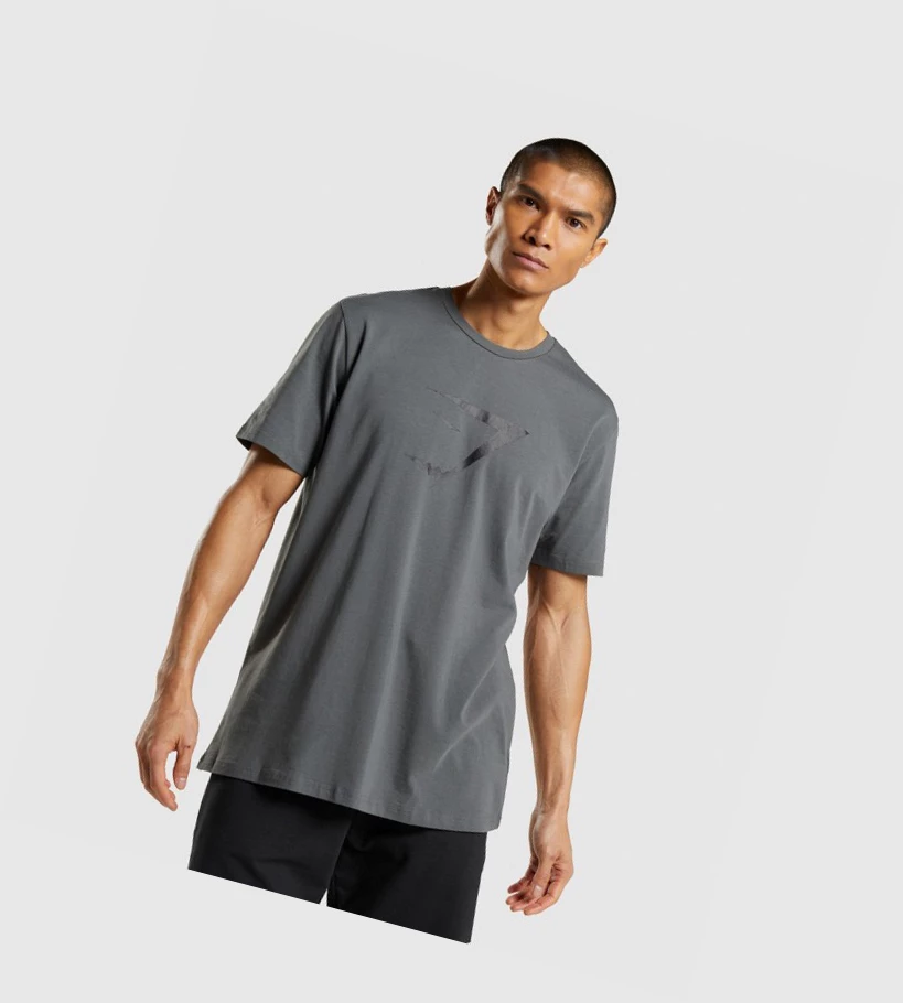 Gymshark Sharkhead Infill T-skjorte Herre Grå | PGQXUW473