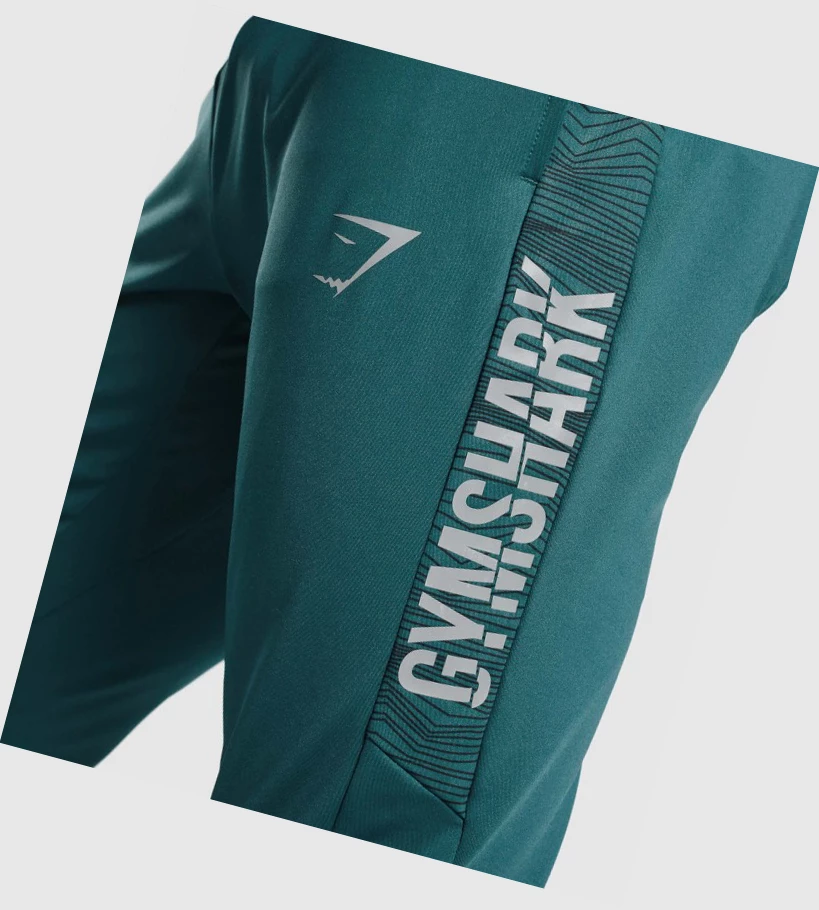 Gymshark Sports Joggebukser Herre Turkis | QBHMCY019