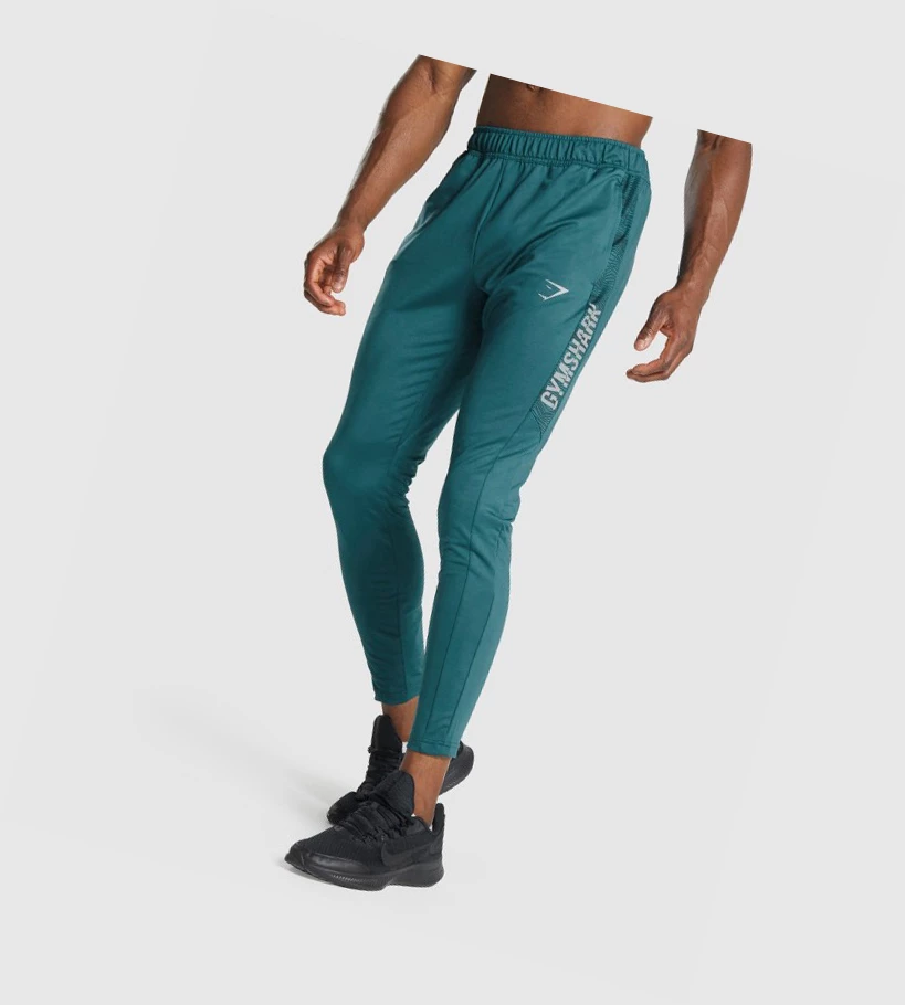 Gymshark Sports Joggebukser Herre Turkis | QBHMCY019