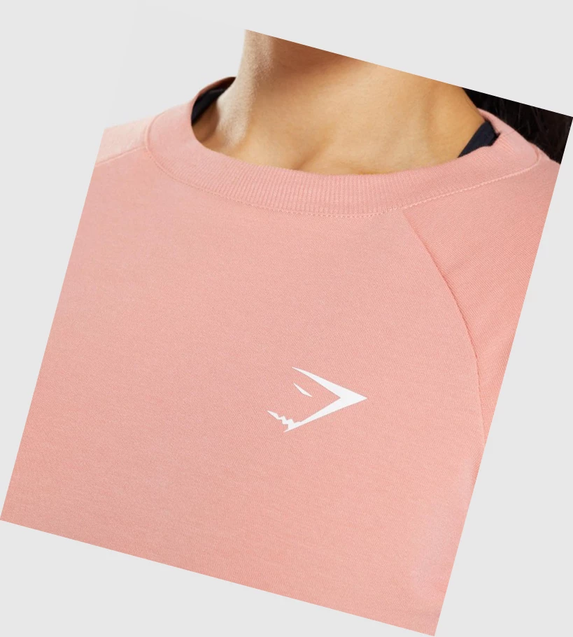 Gymshark Trenings Cropped Genser Klær Dame Rosa | MACEVN082