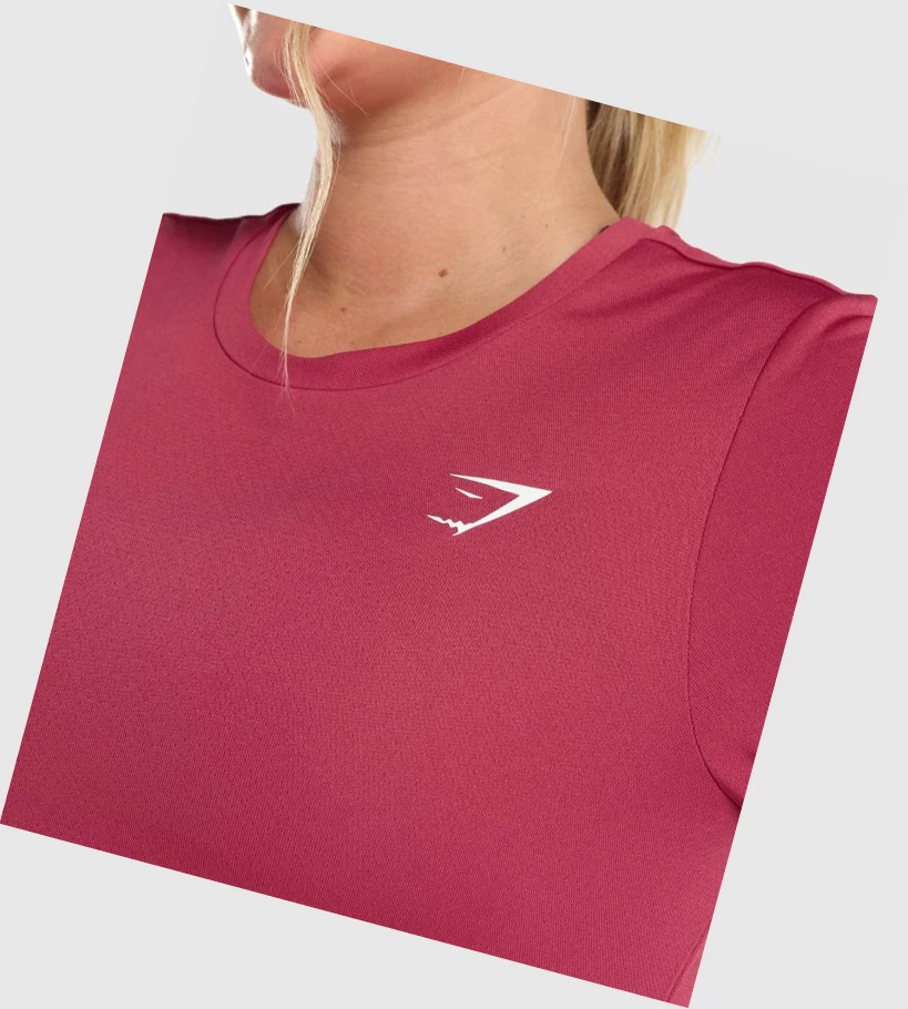 Gymshark Trenings T-skjorte Dame Rosa | DICBEQ167