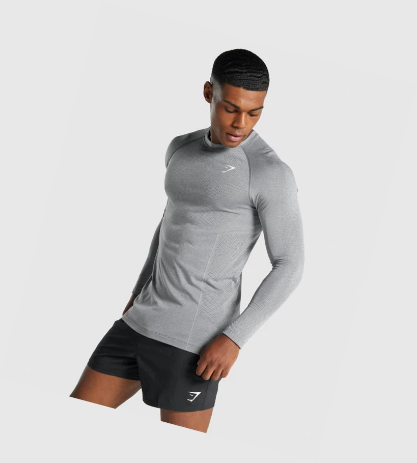 Gymshark Vital Light Seamless T-skjorte Herre Grå | LGDAXS945