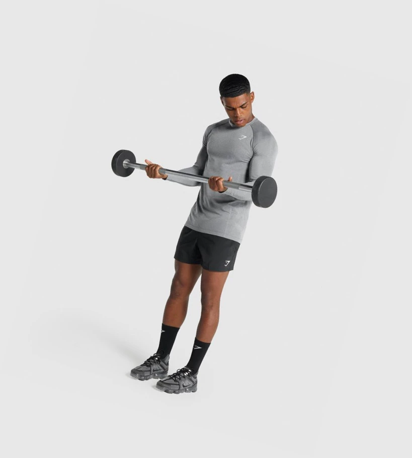 Gymshark Vital Light Seamless T-skjorte Herre Grå | LGDAXS945