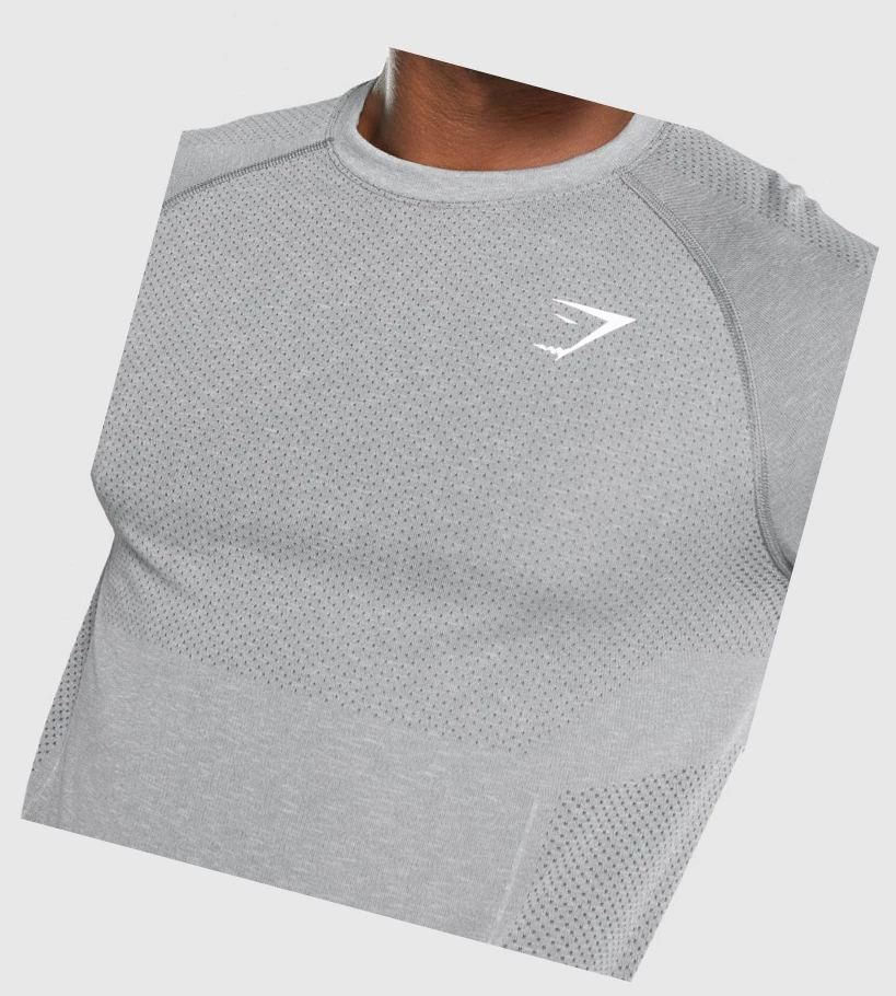 Gymshark Vital Light Seamless T-skjorte Herre Grå | LGDAXS945