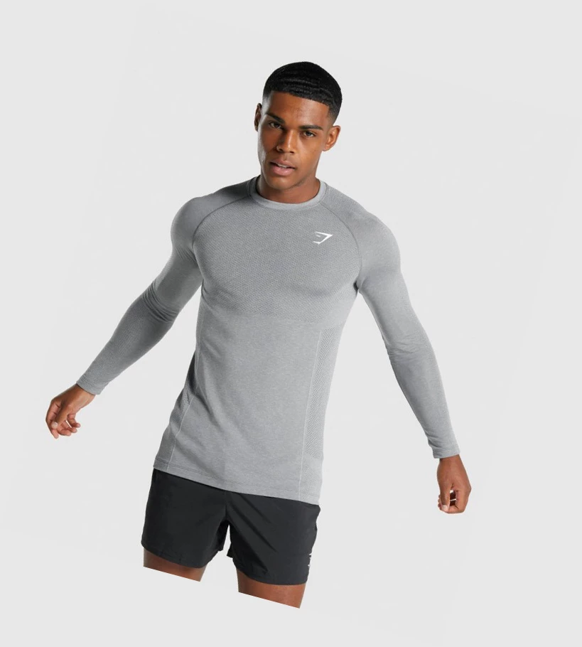 Gymshark Vital Light Seamless T-skjorte Herre Grå | LGDAXS945