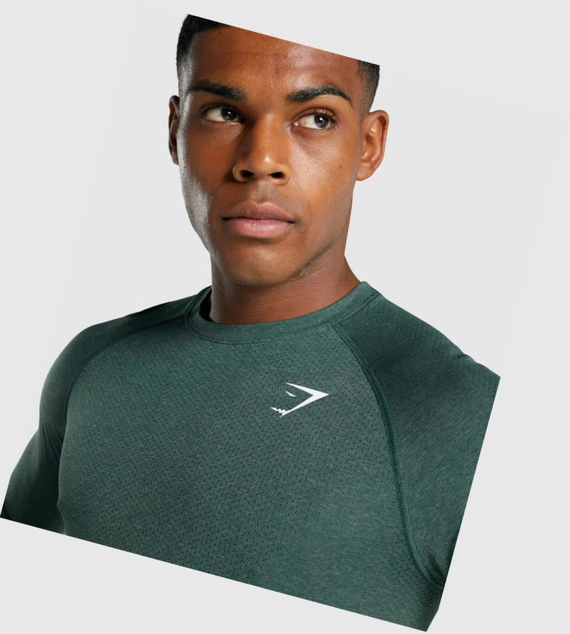 Gymshark Vital Light Seamless T-skjorte Herre Mørke Grønn | PUXKYG102