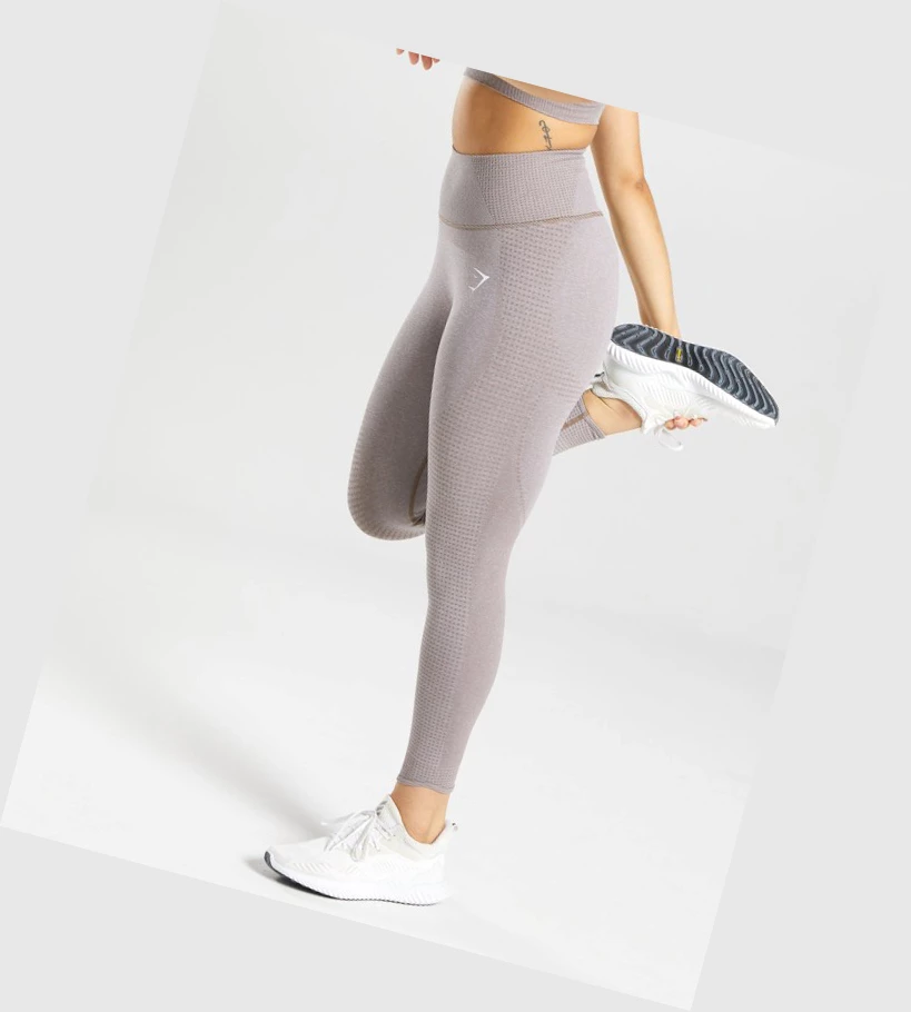 Gymshark Vital Rise Seamless High Waisted Leggings Dame Grå Brune | ABQOEM293