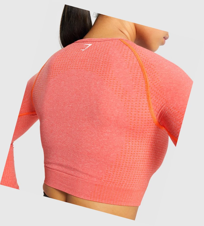 Gymshark Vital Seamless 2.0 Crop Top Gensere Dame Oransje | ETRWGK487