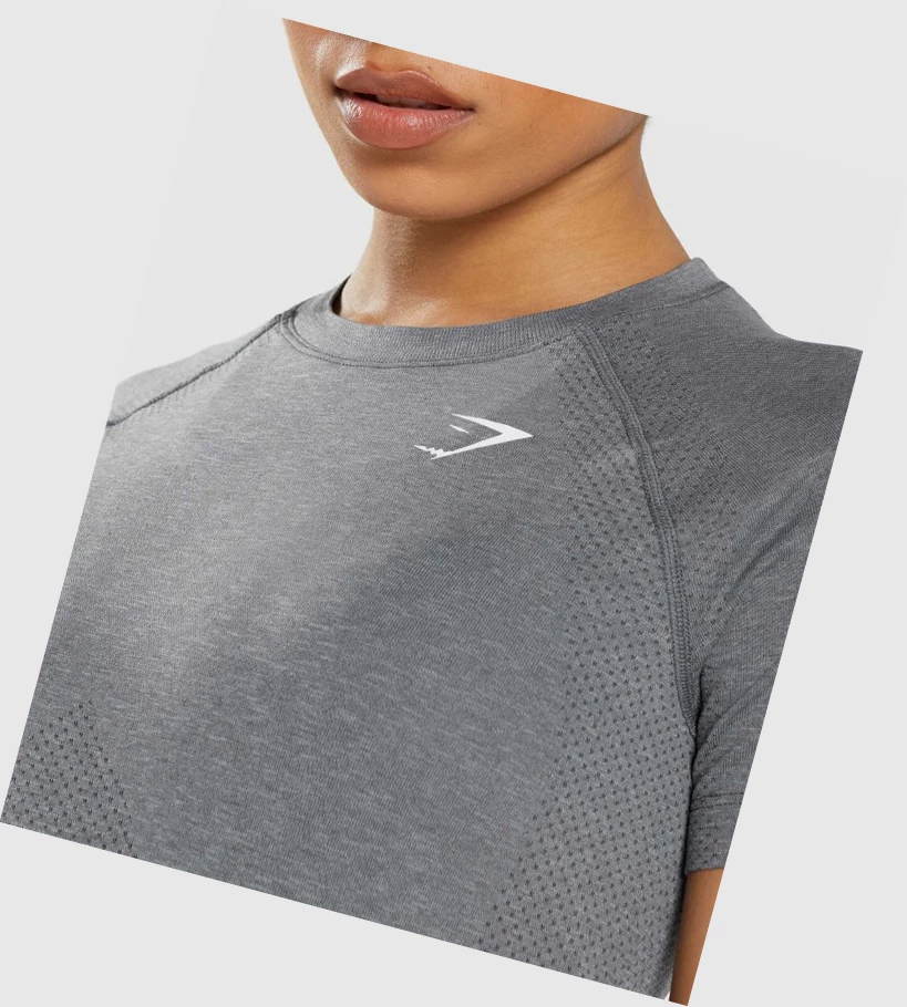 Gymshark Vital Seamless 2.0 Light T-skjorte Dame Grå | RCDPYA718