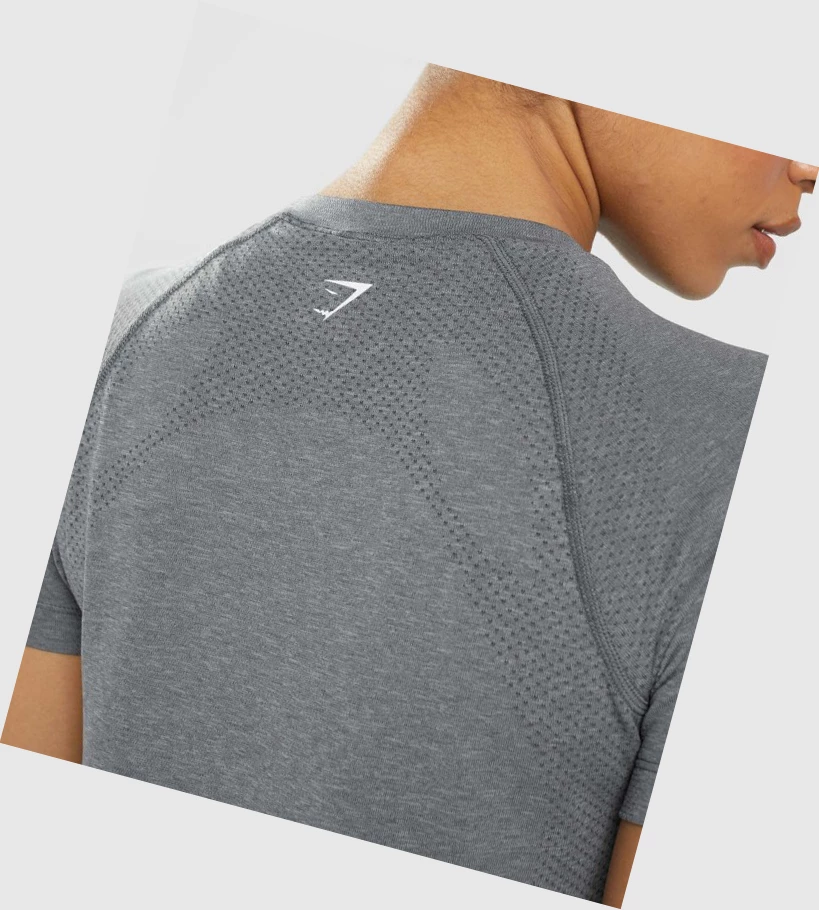 Gymshark Vital Seamless 2.0 Light T-skjorte Dame Grå | RCDPYA718