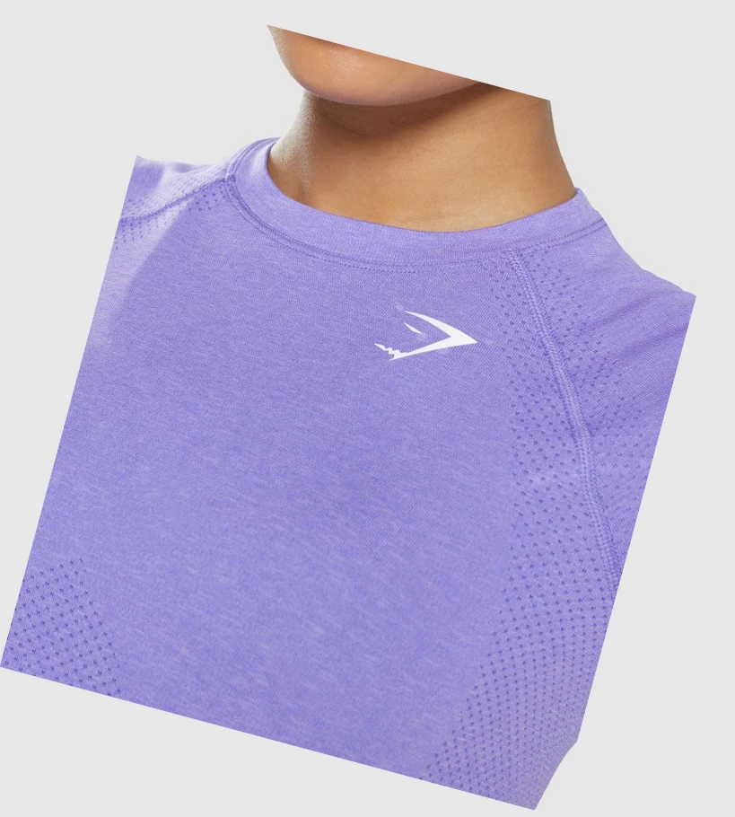 Gymshark Vital Seamless 2.0 Light T-skjorte Dame Lyse Lilla | TKJIWR528